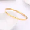 Wholesale Modern Style Solid Color Stainless Steel Bangle In Bulk
