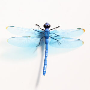 Blue / Dragonfly 12cm plug skewer