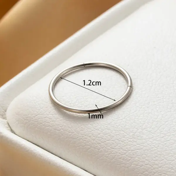 Wholesale 316 Stainless Steel Round IG Style Hoop Earrings For Women's