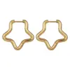 1 Piece Lady Star Heart Shape Plating Titanium Steel Earrings