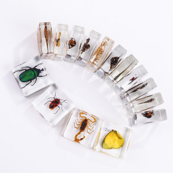 oly-e2eedb9930ea459c3102b74accebc99c Wholesale Square resin insect and animal specimen amber craft ornament