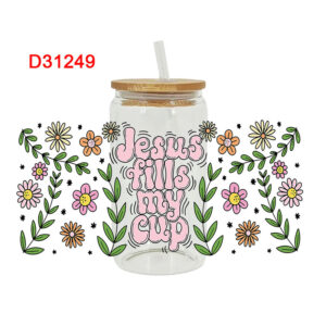 D31249