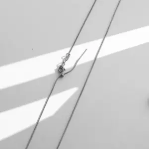 Snake Bone Chain / Silver