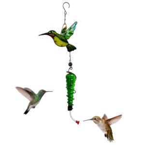 Green Hummingbird Water Feeder / Bubble bag naked