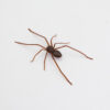 Wholesale Cross-border Amazon New 2025 Spider Fridge Magnets Home Spider Magnet Refrigerator