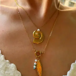 Main Picture Conch Fish Two-Piece Set / Average Size