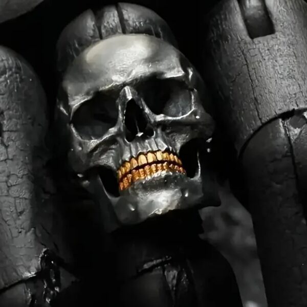 Wholesale 2024 foreign trade new old skull ring wholesale European and American retro punk style skull ring
