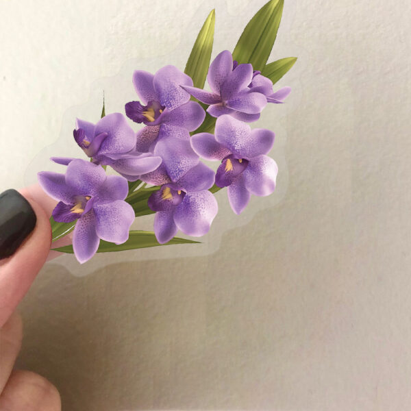 Wholesale 50 transparent INS orchid sticker bag waterproof transparent PET hand account material decorative guitar cross-border