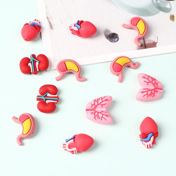 Wholesale Cross-border medical 3D organ silicone beads human body structure model 3D beaded DIY nurse jewelry epoxy beads