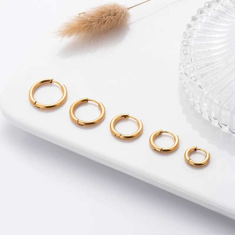 1 Piece Simple Style Solid Color Plating 316 Stainless Steel Titanium Steel Earrings