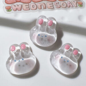 Transparent White Rabbit