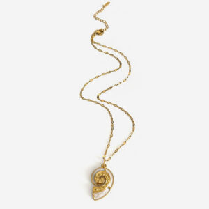 N0120 golden conch