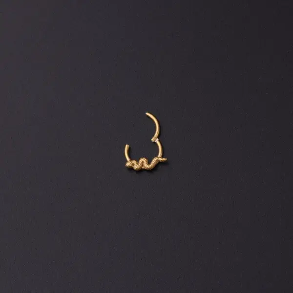 316L Stainless Steel No Inlaid Ear Cartilage Rings & Studs Animal Waterproof Non Tarnish Surgical Steel