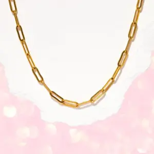 Wholesale PVD Coated 18K Gold Plated Solid Color 304 Stainless Steel Vintage Style Waterproof Non Tarnish 304 Stainless Steel Necklace