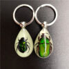 Wholesale Real insect specimen resin keychain