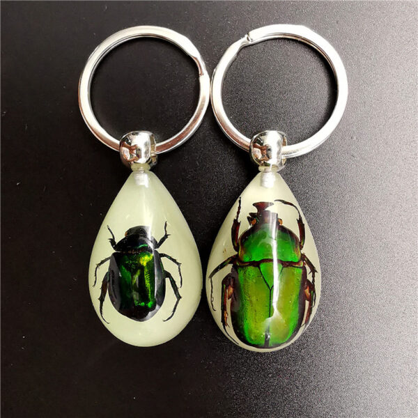 Wholesale Real insect specimen resin keychain