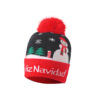 Wholesale Christmas Knitted Hat