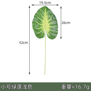 Small green lotus light color