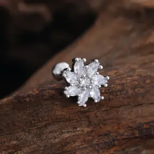 3436 Silver / Ear Studs