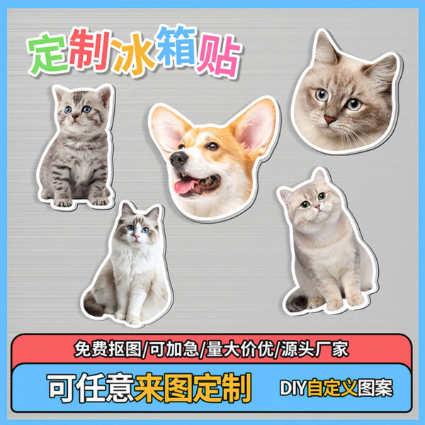 Wholesale Acrylic Pet Refrigerator Sticker Brand Custom Ornaments Pet Cat Dog Expression Shake a Shake Music to Figure