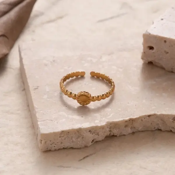 Wholesale PVD Coated Leaf Heart Shape Snake 304 Stainless Steel Casual Simple Style Waterproof Non Tarnish Open Ring