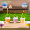 oly-effbe056df8220bbc9b91c4ebf67f020 Wholesale Micro-Landscape Creative Colorful Textured Vase tted Doll House DIY Decoration Aessories Mini Desktop Ornaments