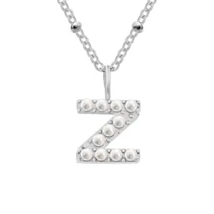 Z-Stainless / Steel Color