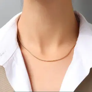 Golden Snake Chain 40 5cm / Each Piece Is Individually Packaged