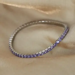 E048-Purple Zircon Steel Bracelet