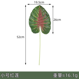 Small red lotus leaf