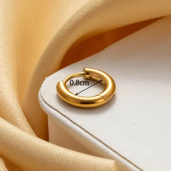 316 Stainless Steel Round IG Style French Style Simple Style Earrings For Unisex