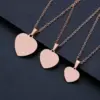 Wholesale Jewelry Simple Style Heart Shape 201 Stainless Steel Plating Necklace
