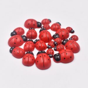 oly-f36a1d8a3db8f1d3762fc820100a8999 Wholesale DIY Micro Landscape Accessories Wooden Mini Color Coccinella Small Bonsai Decoration Accessories Beetle