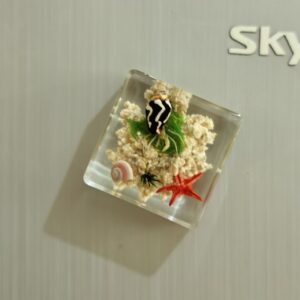 Hermit crab 3.8*3.8cm