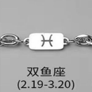 Pisces necklace bracelet combination
