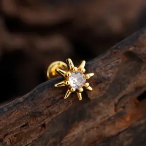 3389 Gold / Ear Studs