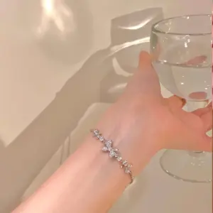 S248 Silver