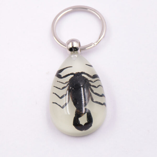 oly-f50a5c3809fd6bccd74b0c6a3e7eeff2 Wholesale Large Amber Glow-in-the-Dark Insect Keychain