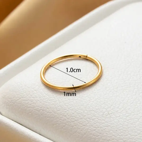 316 Stainless Steel Round IG Style Hoop Earrings For Women's