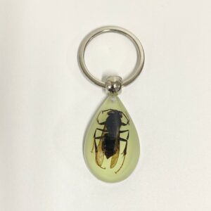 Hornets from 6 / 39mm*25mm*15mm