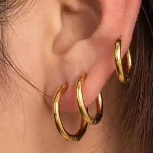 316 Stainless Steel Round IG Style French Style Simple Style Earrings For Unisex