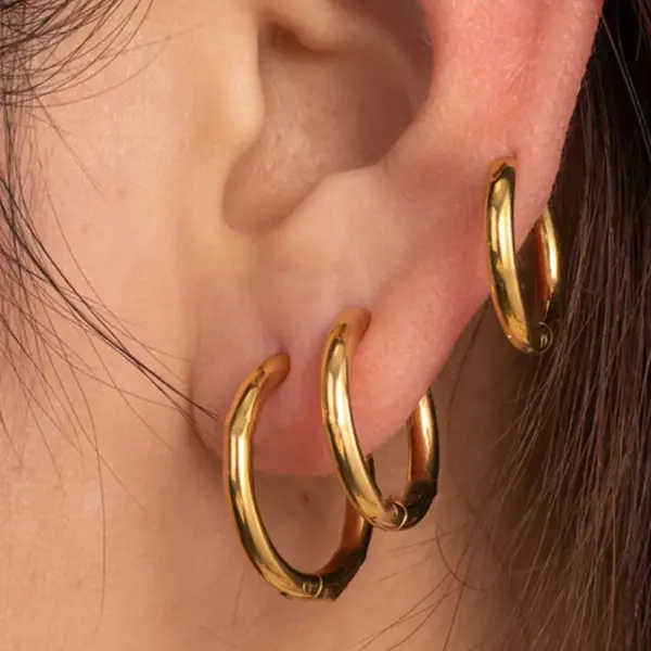 316 Stainless Steel Round IG Style French Style Simple Style Earrings For Unisex