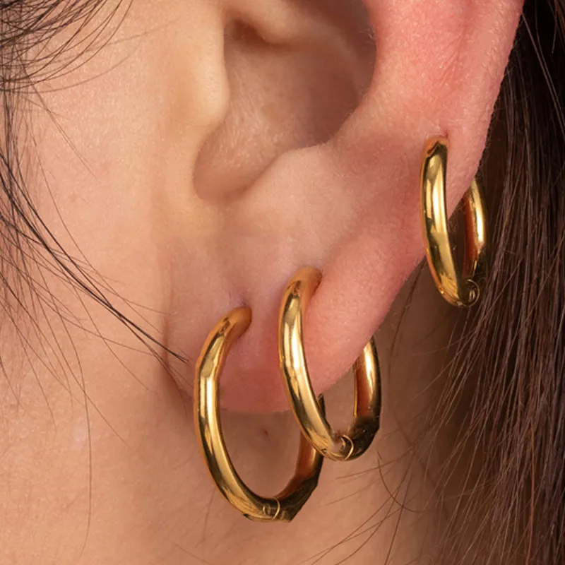 Wholesale 316 Stainless Steel Round IG Style French Style Simple Style Earrings For Unisex