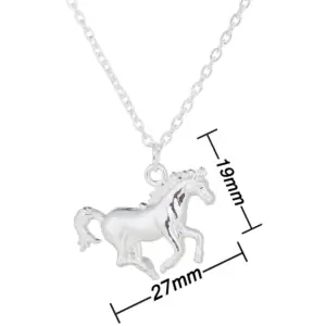 Necklace / Silver