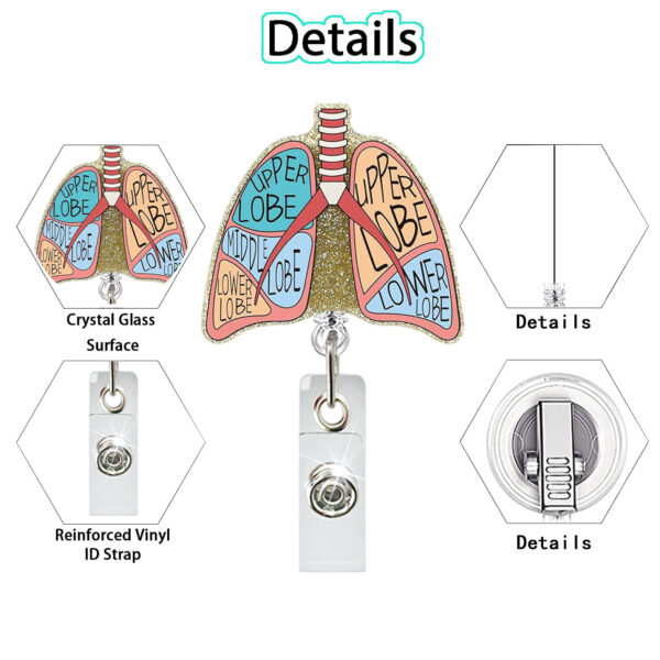 Wholesale Medical Care Heart Lung Brain Acrylic Glitter Easy Pull Retractable Clip Badge Scroll ID Buckle Easy Pull Buckle