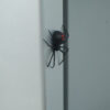 Wholesale Cross-Border New Product Spider Magnetic Fridge Sticker Black Widow Spider Magnet Refrigerator Magnet