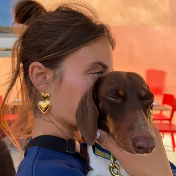 1 Pair IG Style Basic Streetwear Heart Shape Plating 304 Stainless Steel Stainless Steel Earrings