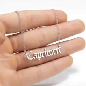 Capricorn / Steel Color