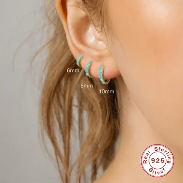 Wholesale 1 Piece 925 Sterling Silver Geometric Round Gem Hoop Earrings Earrings Ear Studs