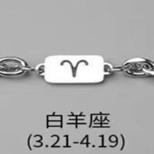 Aries necklace bracelet combination